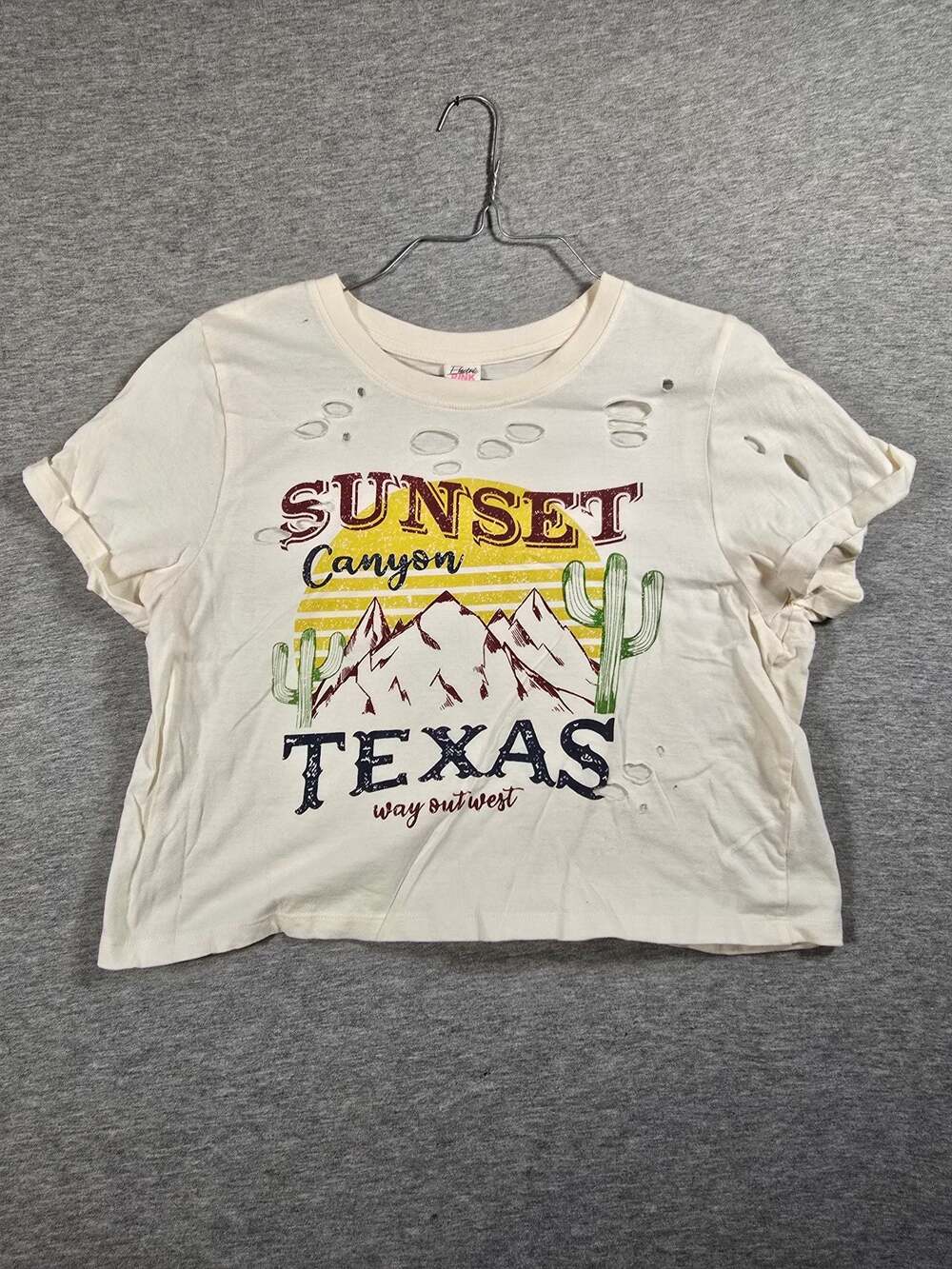 Electric Pink Sunset Canyon Texas Crop Top